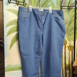# 12 - C J Banks Women's Stretch Blue Jeans Size 24 W